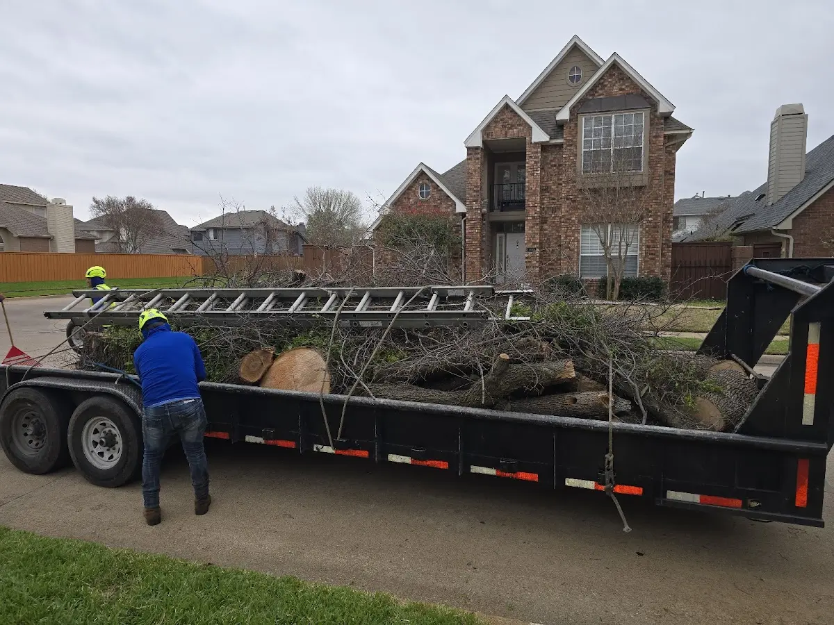 Expert Lot Clearing with proper safety equipment in Unityville